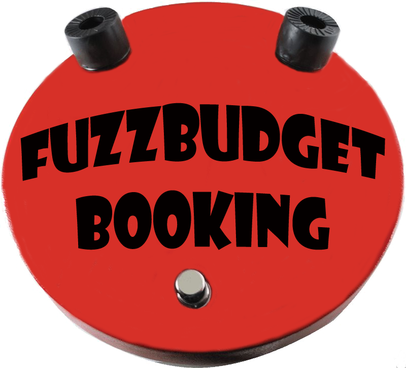 Fuzzbudget